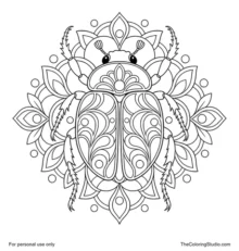 Top-view scarab mandala with six mirrored legs, paired wing cases, and layered ornamental patterns.