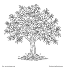 Cherry blossom tree with spreading branches, clustered five-petaled flowers, green leaves, and a few fallen petals.