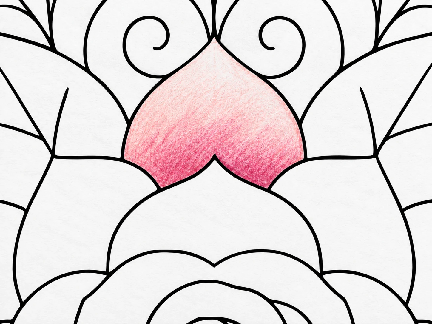 Darker pink colored pencil gradually overlapping a lighter first layer on a mandala petal.