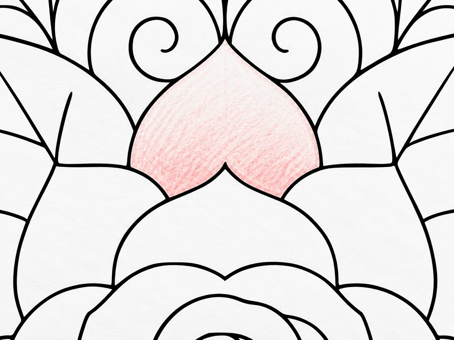 Light pink colored pencil layer applied gently to a mandala petal with white paper still visible.