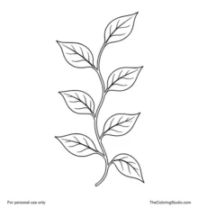 Simple leafy vine with a curved stem, seven large green leaves, and minimal vein details on a white background.