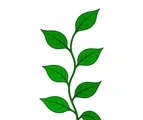 Simple leafy vine with a curved stem, seven large green leaves, and minimal vein details on a white background.